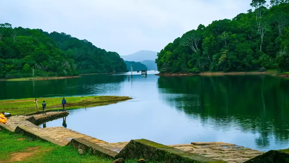 Thekkady – Nature & Local Experiences